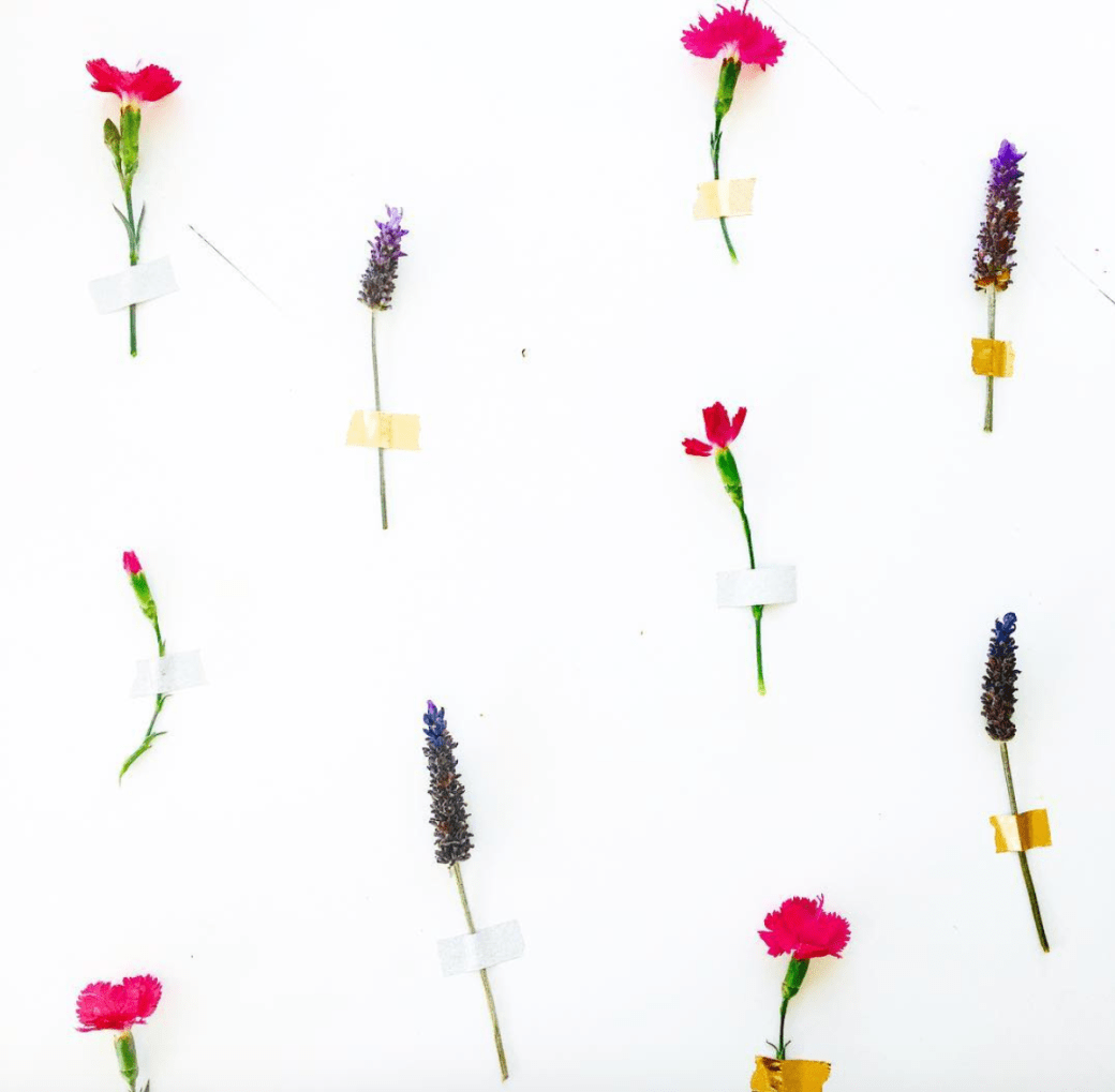 Screen Shot 2018-01-09 at 10.15.34 pm